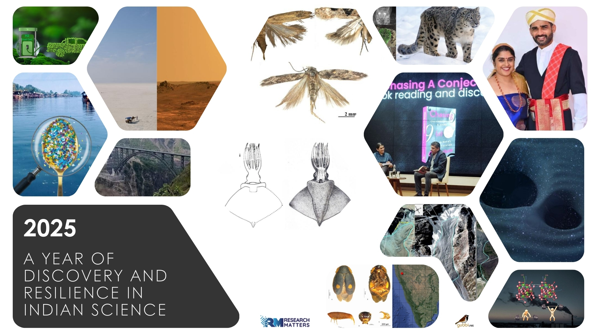 2025: A Year of Discovery and Resilience in Indian Science